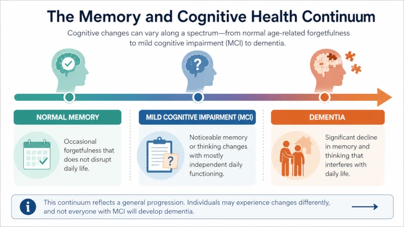 Diagram showing the range from normal memory to mild cognitive impairment to dementia.
