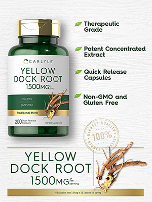 YELLOW DOCK: Wild traditional root herb with plant compounds used in Ayurvedic wellness practices 