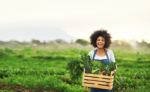 woman holding basket of fruits and vegetables and boost your energy levels