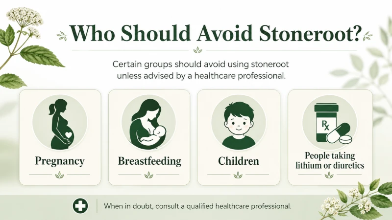 Infographic listing groups who should avoid stoneroot: pregnancy, breastfeeding, children, and people on lithium or diuretics.