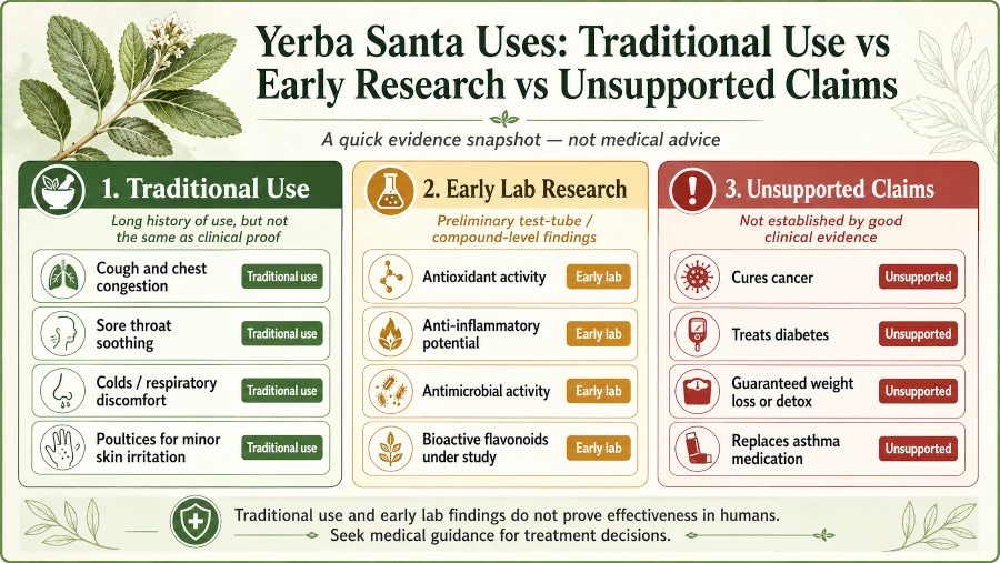 Chart grading yerba santa uses from traditional use to early lab research to unsupported claims.