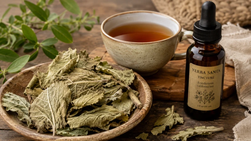Dried yerba santa leaves beside a cup of brewed tea and a tincture bottle.