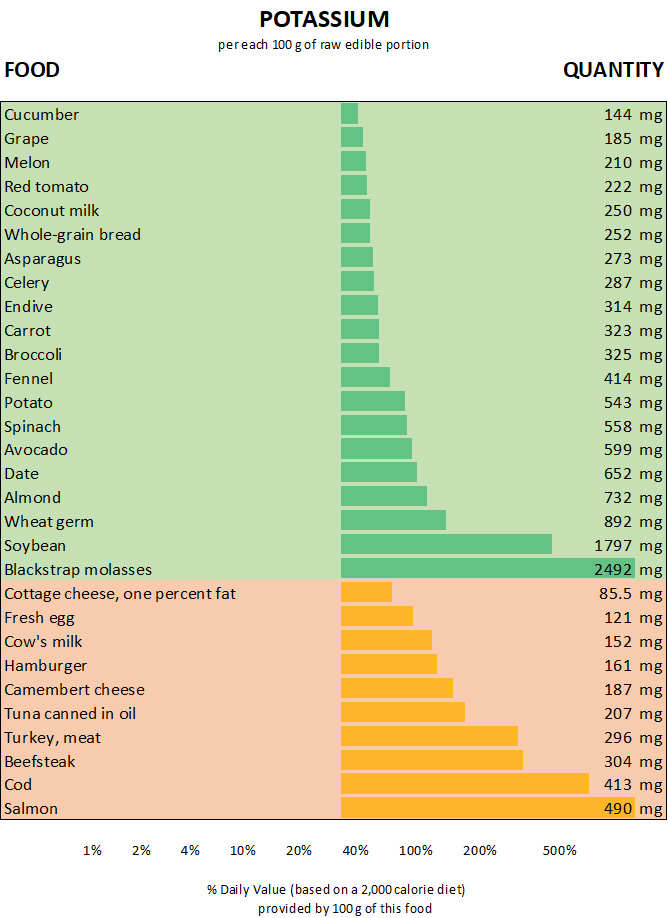 Chart graph of the best food sources of potassium