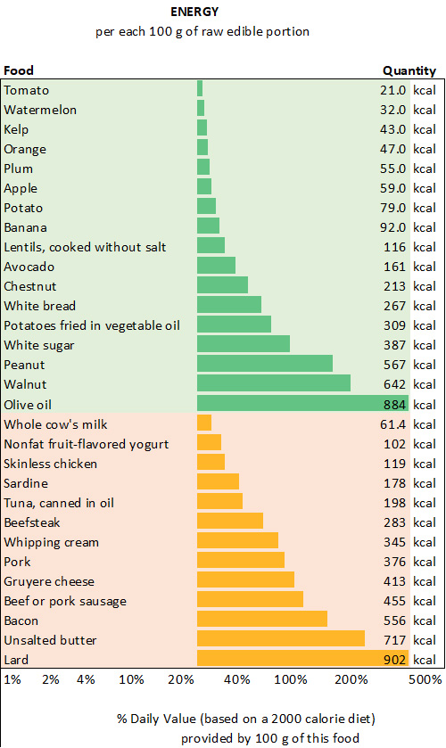 what food group is the best source of energy