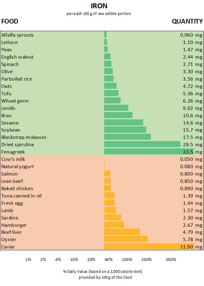 chart graph of the top foods rich in iron