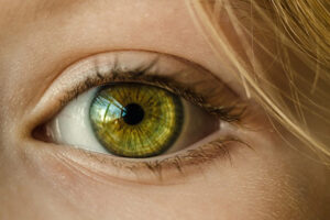 beautiful multi color eye of a woman