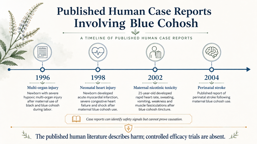 Timeline of four published blue cohosh case reports from 1996 to 2004 involving maternal or newborn harm
