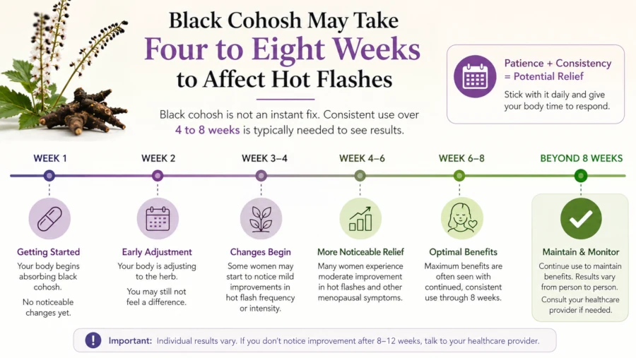 Timeline showing black cohosh may take four to eight weeks to affect hot flashes