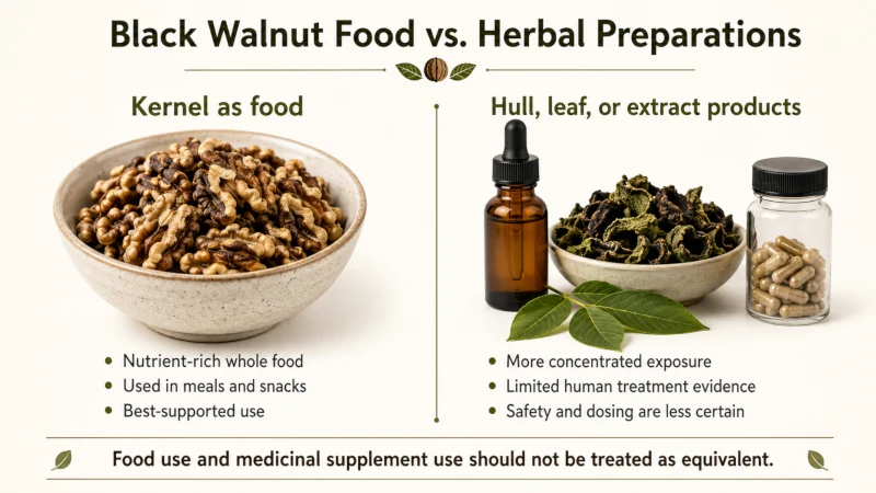 Comparison of edible black walnut kernels with black walnut hull tincture and supplement preparations.