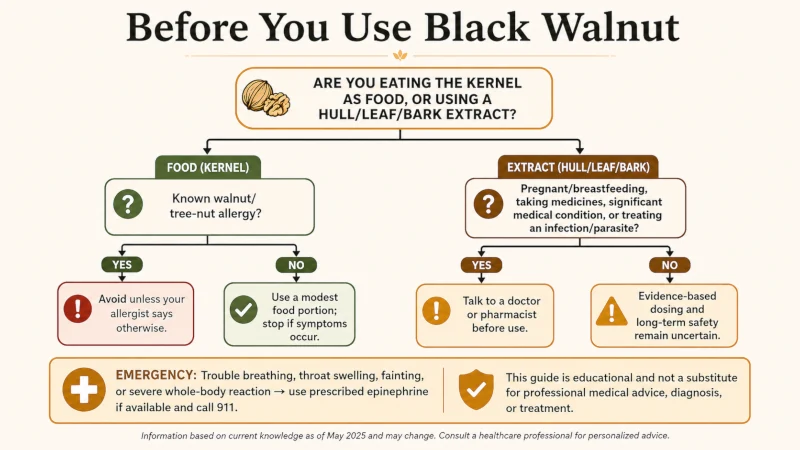 : Decision tree for safely eating black walnuts or considering black walnut hull supplements.