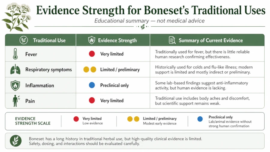 Table comparing evidence strength for boneset's traditional uses: fever, respiratory symptoms, inflammation, and pain.