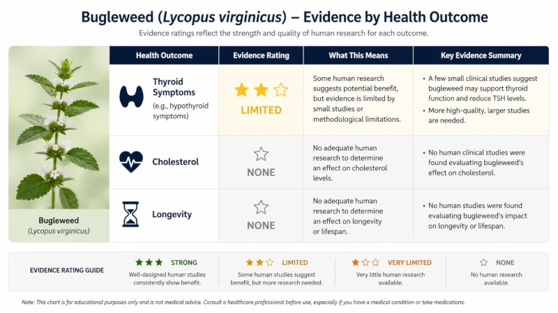 Chart rating bugleweed evidence from limited for thyroid symptoms to none for cholesterol and longevity.