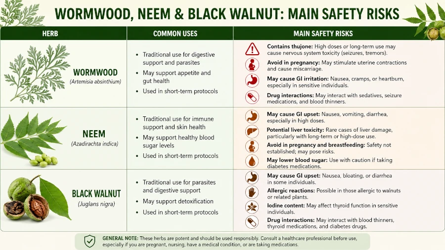 Table pairing wormwood, neem, and black walnut with their main safety risks.