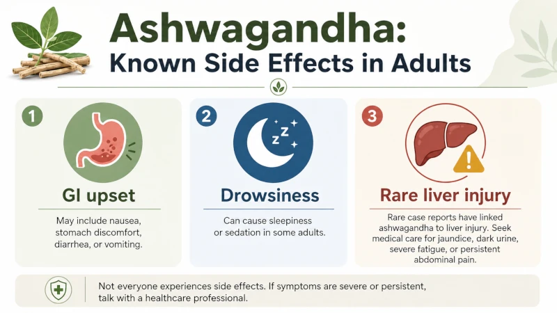 Infographic listing ashwagandha and breastfeeding known side effects in adults including GI upset, drowsiness, and rare liver injury