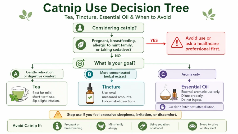 Decision tree for catnip tea, tincture, essential oil, and when to avoid use
