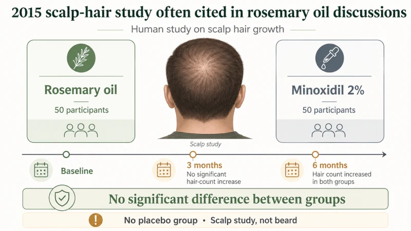 Visual summary of the 2015 scalp study comparing rosemary oil with 2 percent minoxidil over six months