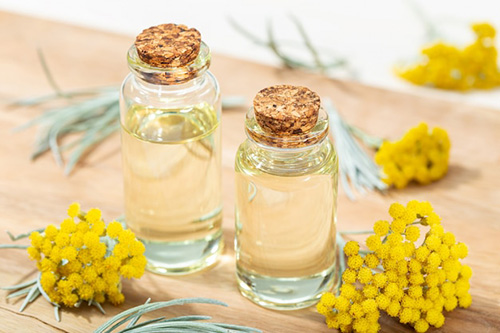 two bottles of helichrysum oil along with the plant