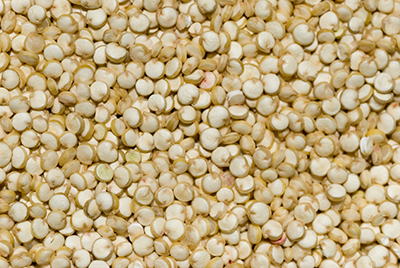 closeup pic of Quinoa