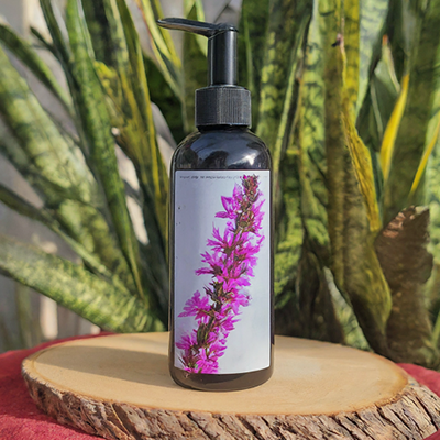 a bottle of Purple Loosestrife lotion