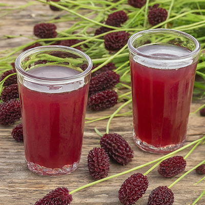 two glasses of greater burnet juice