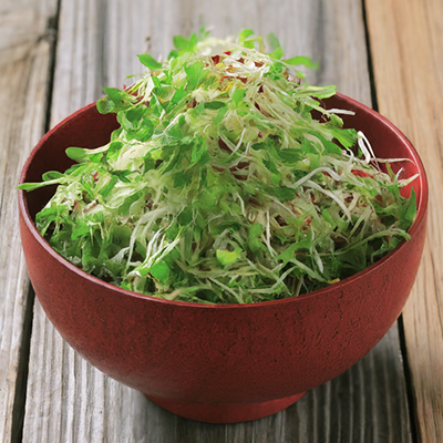 bowl of alfalfa salad
