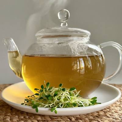 glass kettle filled with alfalfa tea
