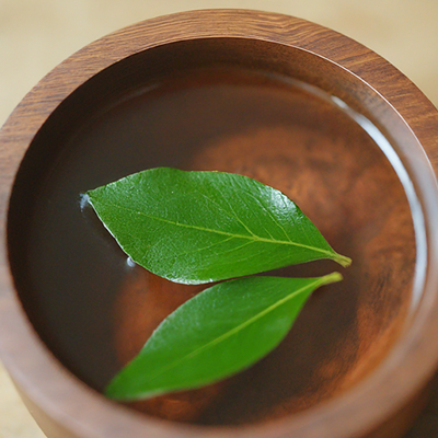 the leaves of the wayfaring tree in a decoction