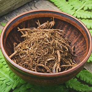 bowl of female fern root powder