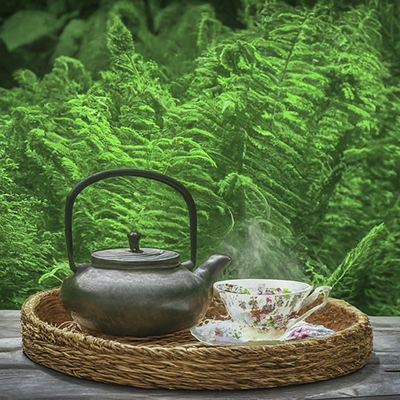 kettle and tea cup of female fern tea