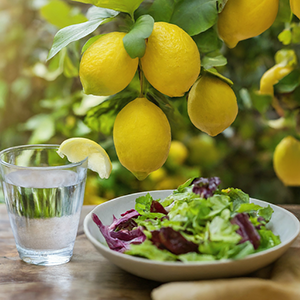 lemons on the tree with a glass of water and a plate of salad in front