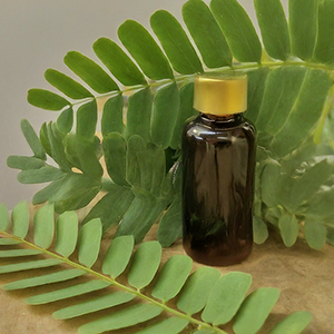 tamarind leaves and a bottle of tincture