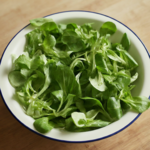 bowl of Mache lettuce