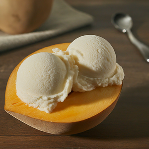 ice cream made with the sapote fruit