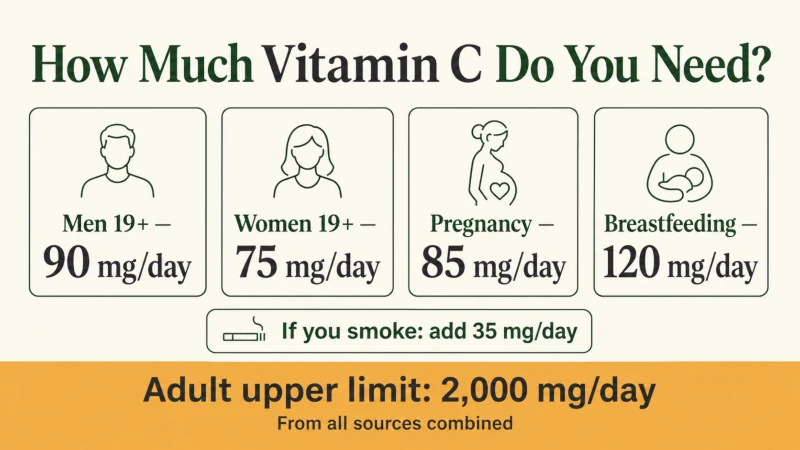 Infographic showing recommended daily vitamin C amounts for adult men, women, pregnancy, breastfeeding, and smokers, with the 2,000 mg adult upper limit.