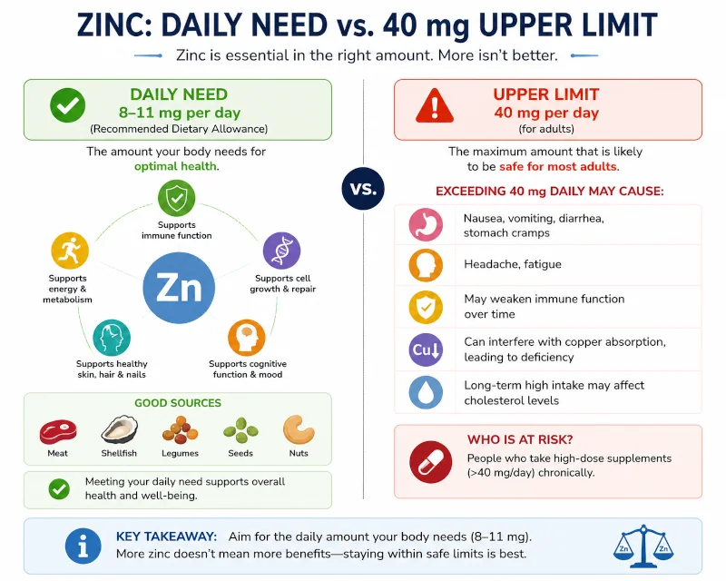 Zinc daily need versus the 40 mg adult upper limit.