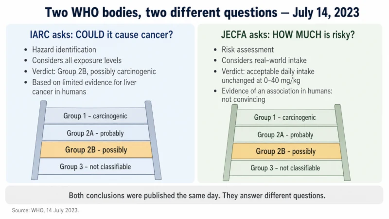 Side-by-side explainer showing what IARC hazard classification measures versus what JECFA risk assessment measures for aspartame