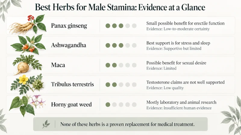 Chart grading the evidence for the best herbs for male stamina such as ginseng, ashwagandha, maca, tribulus and horny goat weed.