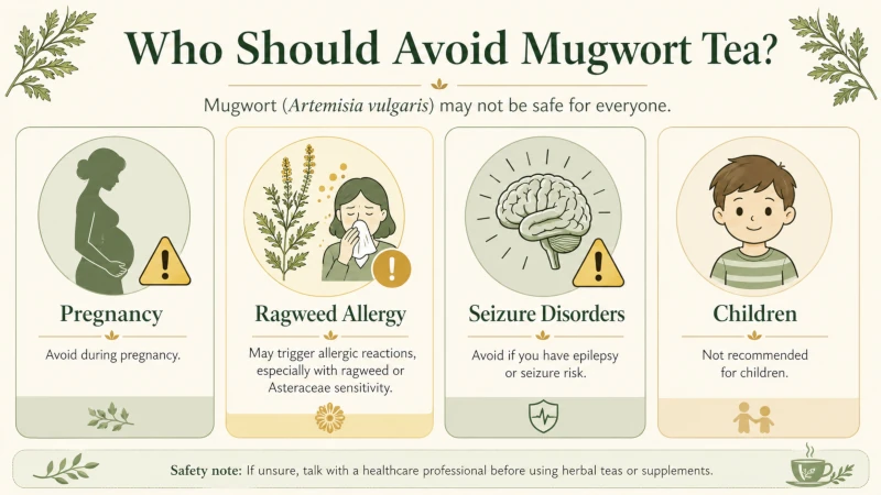 Groups who should avoid mugwort tea: pregnancy, ragweed allergy, seizure disorders, children.