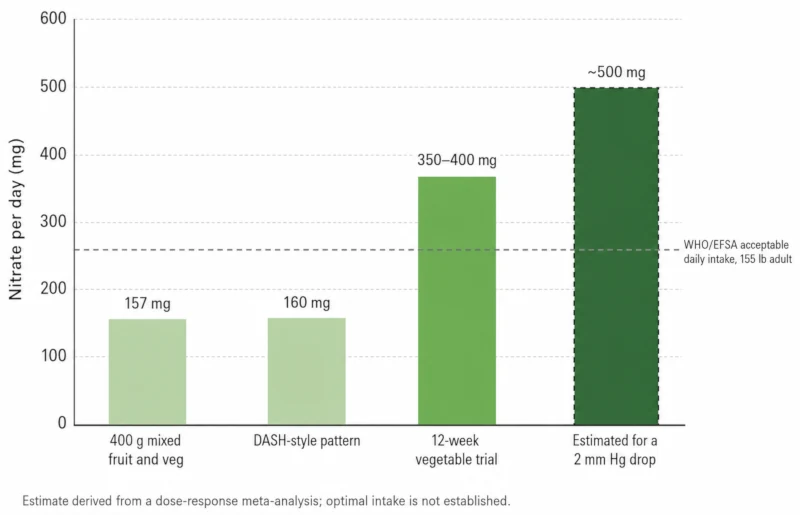 Bar chart comparing daily nitrate amounts: 157 mg from a typical mixed diet, 160 mg from a DASH pattern, 350 to 400 mg used in a 12-week vegetable trial, and roughly 500 mg estimated for a 2 mm Hg blood pressure reduction.