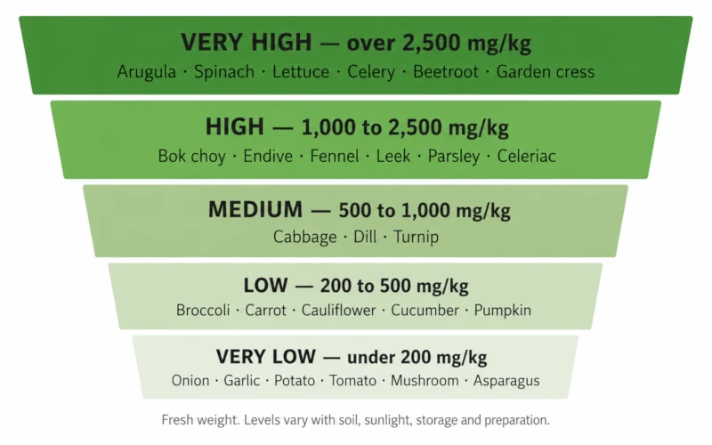 Chart ranking vegetables by nitrate content from arugula and spinach at over 2,500 mg per kilogram down to potatoes and tomatoes under 200 mg per kilogram.