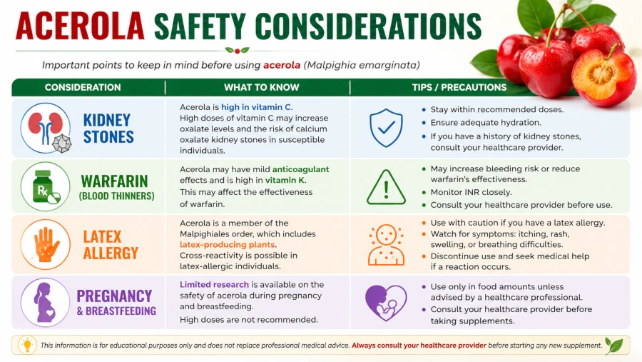 Table of acerola safety considerations: kidney stones, warfarin, latex allergy, pregnancy.