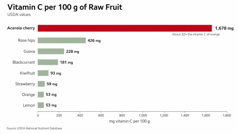 Horizontal bar chart comparing vitamin C per 100 grams in acerola, rose hips, guava, blackcurrant, kiwifruit, strawberry, orange, and lemon.