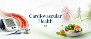 Cardiovascular health illustration showing a heart, blood vessels, blood pressure monitor, healthy foods, and physical activity