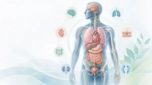 Illustration of major body systems and common health conditions